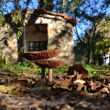 Cortijo Del Zoco Bajo * Pozoblanco