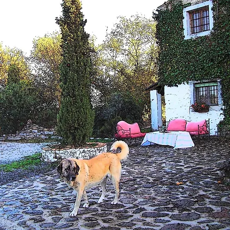Casa rural Cortijo Del Zoco Bajo